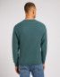 náhled RAGLAN CREW KNIT EVERGREEN