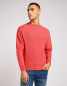 náhled RAGLAN CREW KNIT POPPY