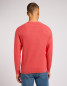 náhled RAGLAN CREW KNIT POPPY